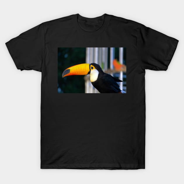 yellow hornbill T-Shirt by likbatonboot